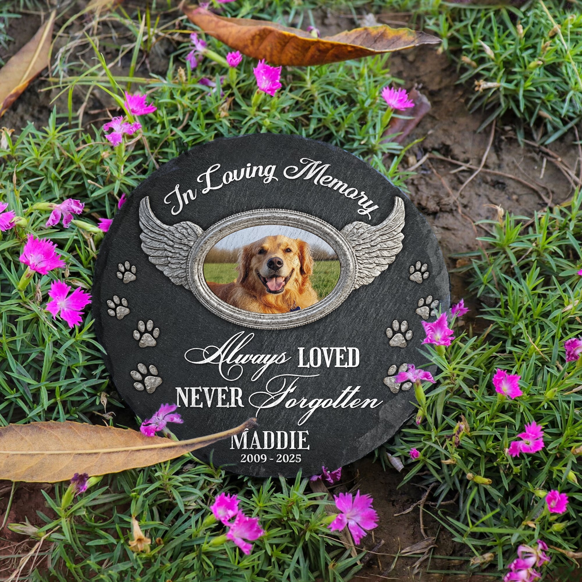 Always Loved Never Forgotten - Personalized Pet Memorial Stone Angel Wings Gift for Dog Loss Tribute