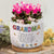 We Planted This Little Pot - Sentimental Personalized Gift for Grandma Birth Month Flowers Ceramic Plant Pot with Bamboo Tray